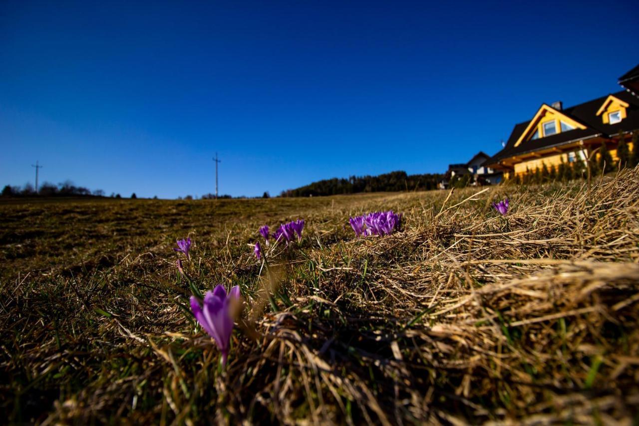 Em Gorce Resort Domki Z Sauna I Jacuzzi Waksmund Eksteriør bilde